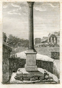 Visualizza l'immagine "Vol. Z 12, tav. 14"